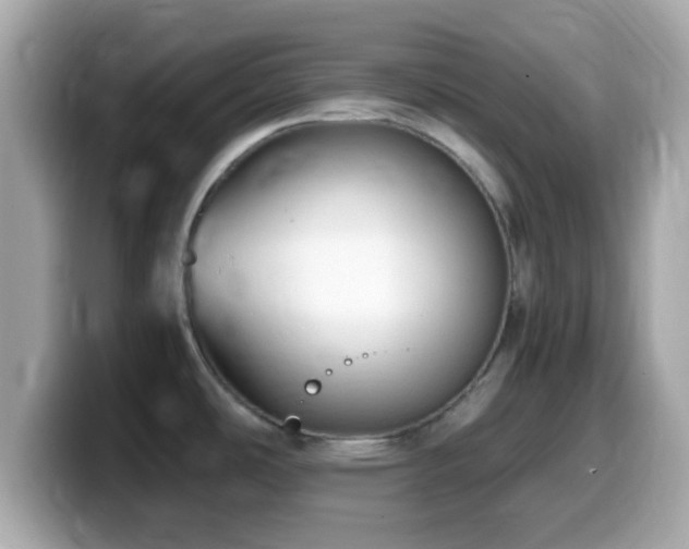 X0000099981486200805231415
