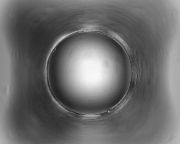 X0000099981487200805231415