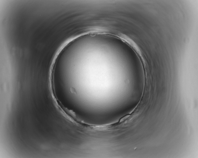 X0000099981488200805231415