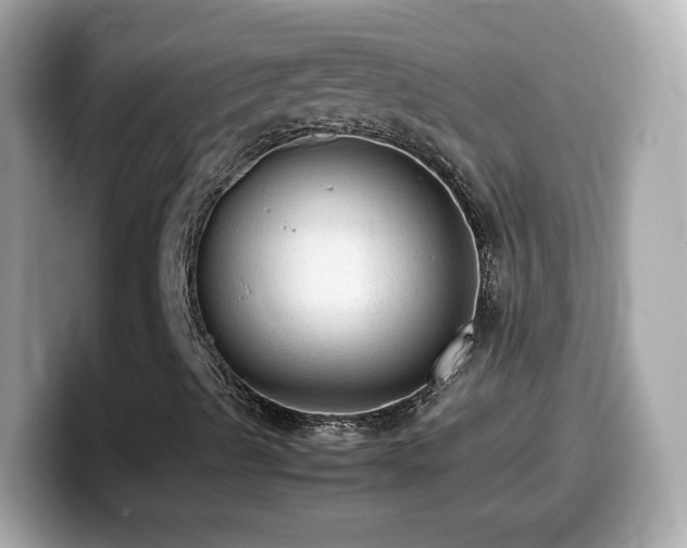 X0000099981489200805231414