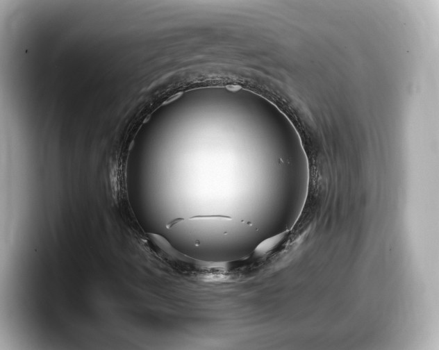 X0000099981490200805231414