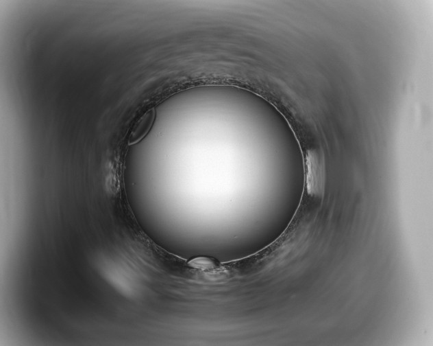 X0000099981491200805231414