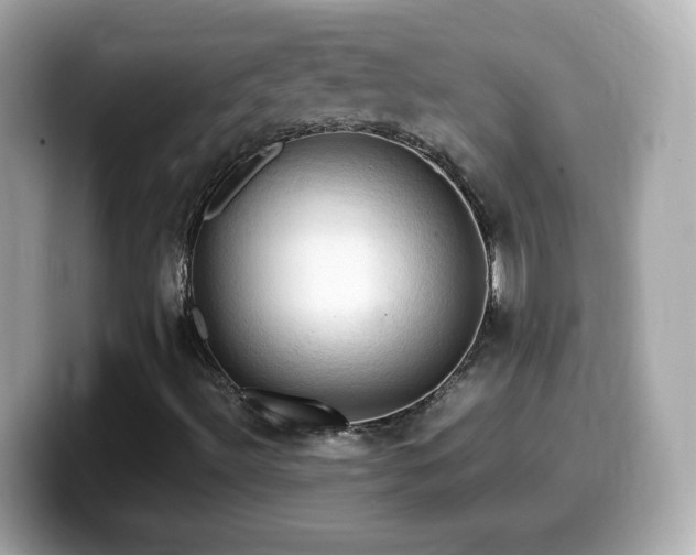 X0000099981492200805231414