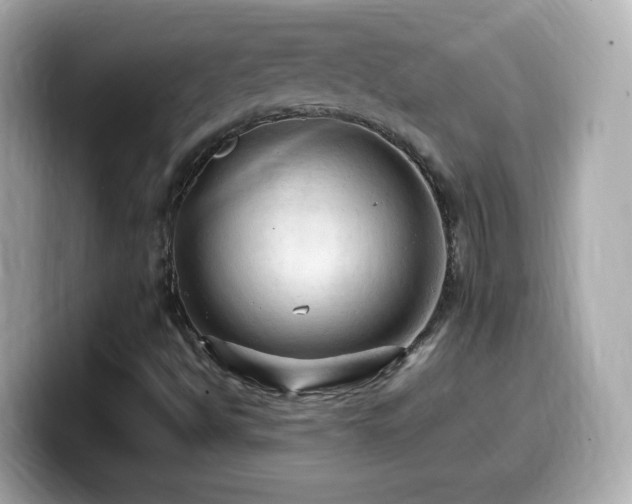 X0000099981494200805231414