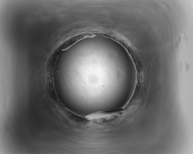X0000099981496200805231414