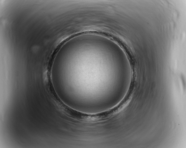 X0000099981497200805231414