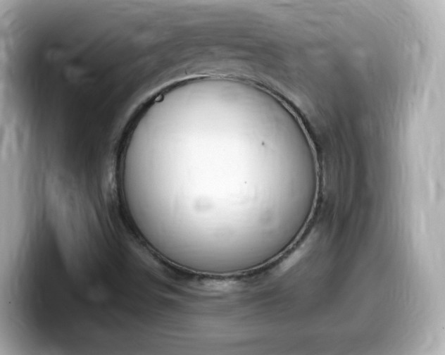 X0000099981498200805231414