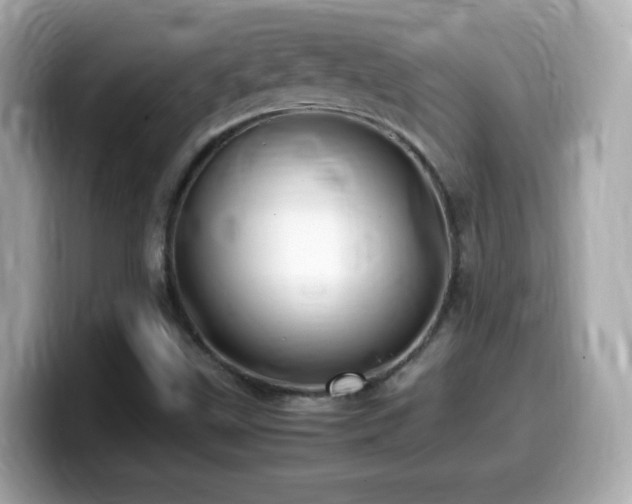 X0000099981499200805231414