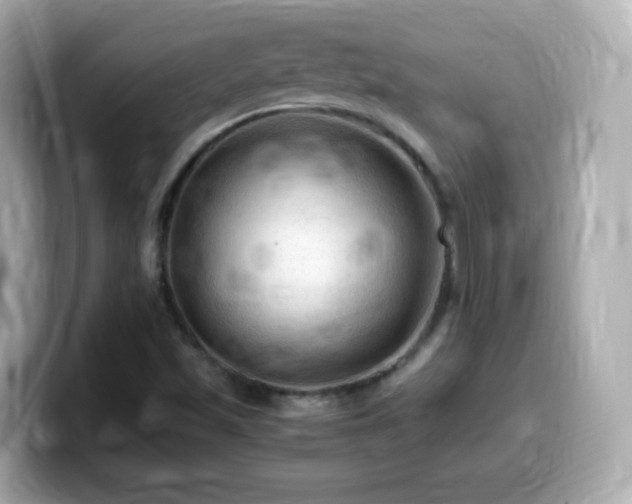 X0000099981501200805231414