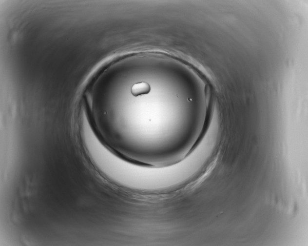 X0000099981502200805231414