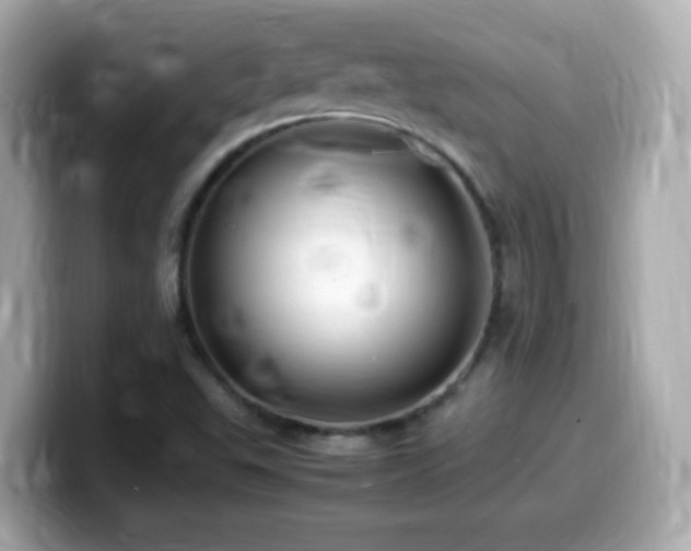 X0000099981503200805231414