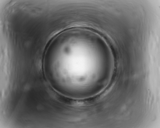 X0000099981505200805231414
