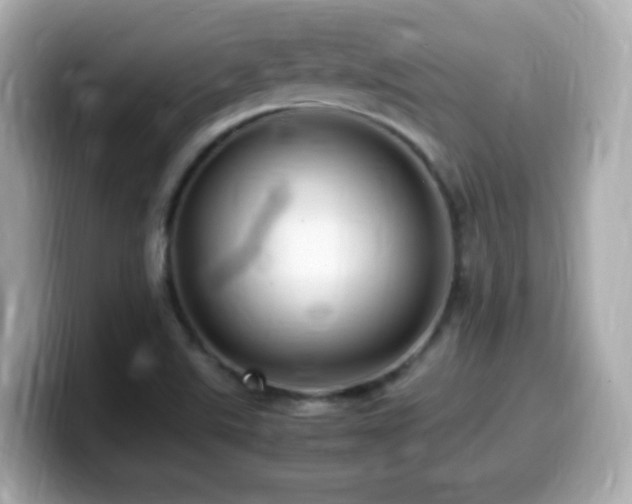 X0000099981507200805231414
