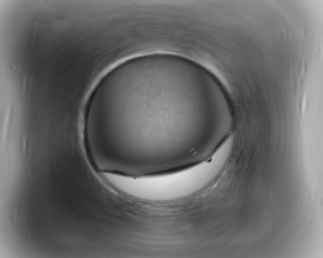 X0000099981508200805231414