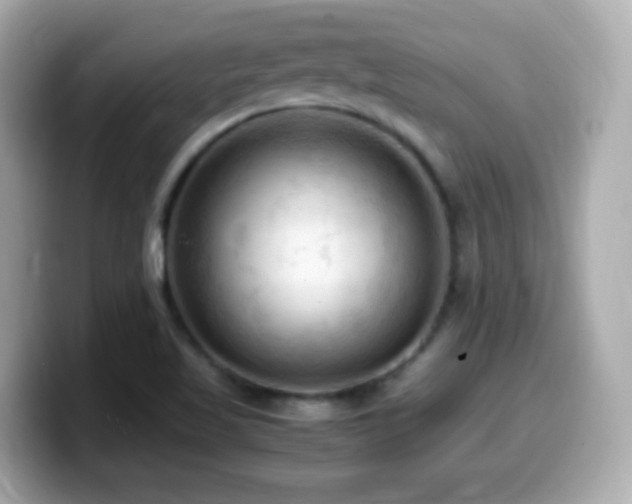 X0000099981509200805231414