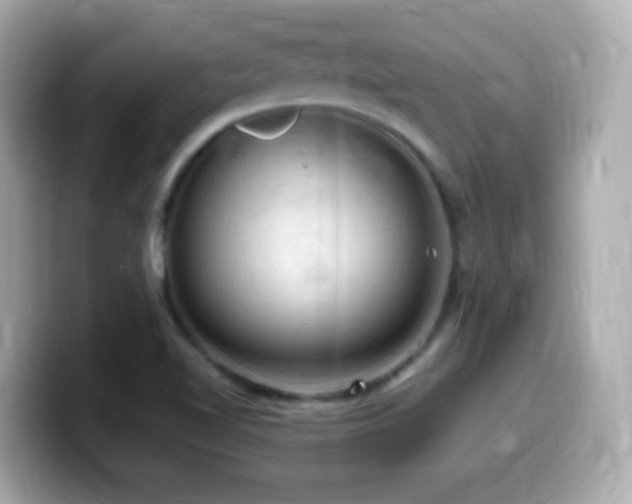 X0000099981510200805231414