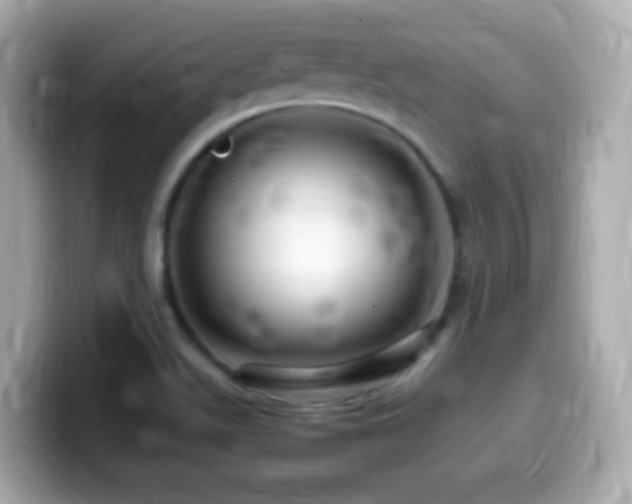 X0000099981511200805231414