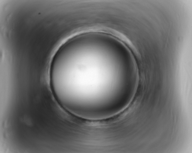 X0000099981512200805231414