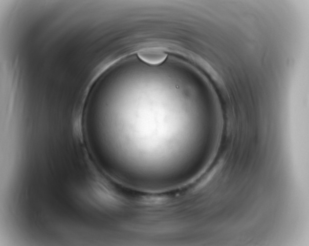 X0000099981513200805231414