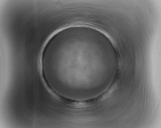 X0000099981515200805231414