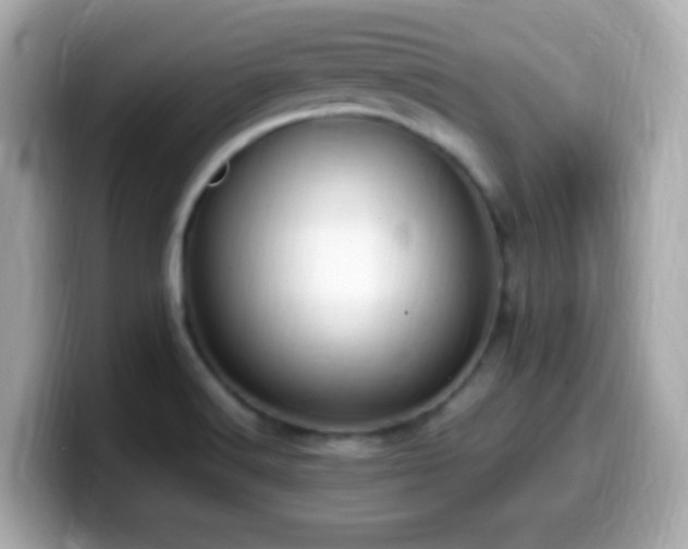 X0000099981516200805231414