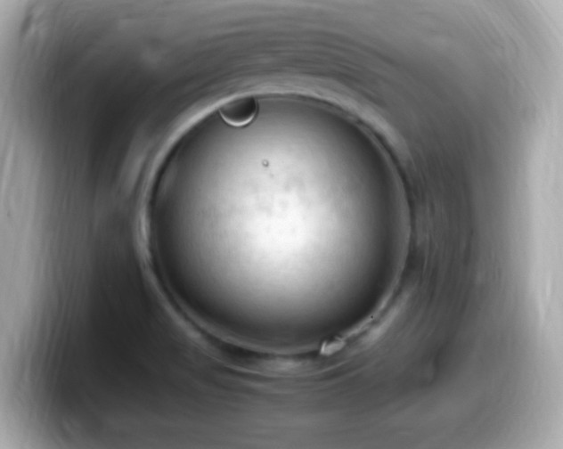 X0000099981517200805231414