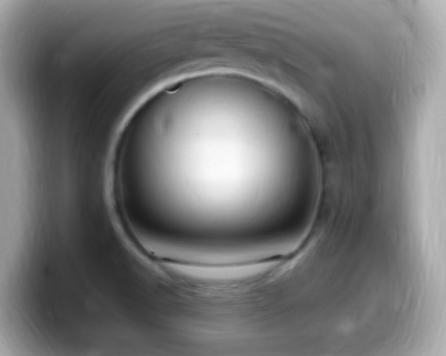 X0000099981518200805231414