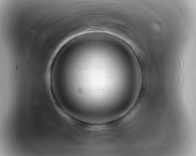 X0000099981519200805231414