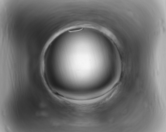 X0000099981520200805231414