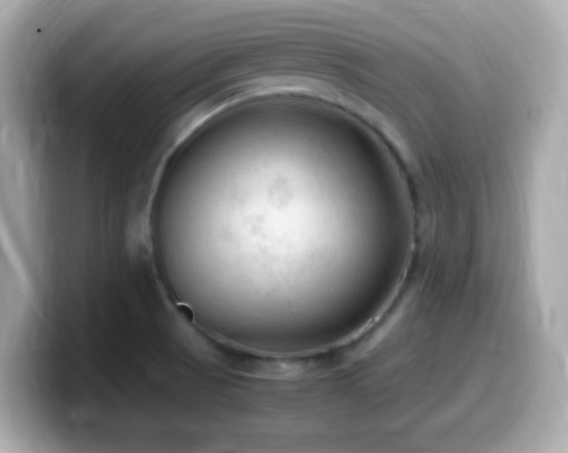 X0000099981521200805231415