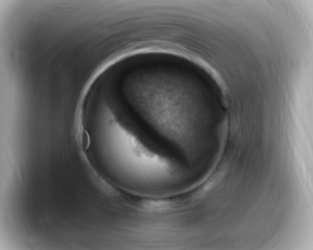 X0000099981522200805231415