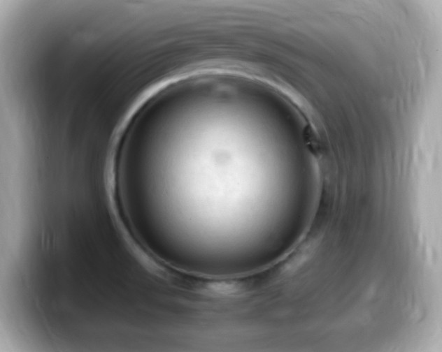 X0000099981523200805231415