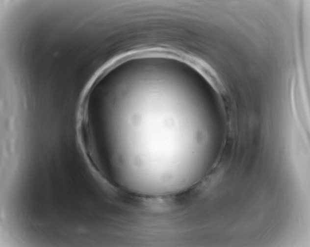 X0000099981524200805231415