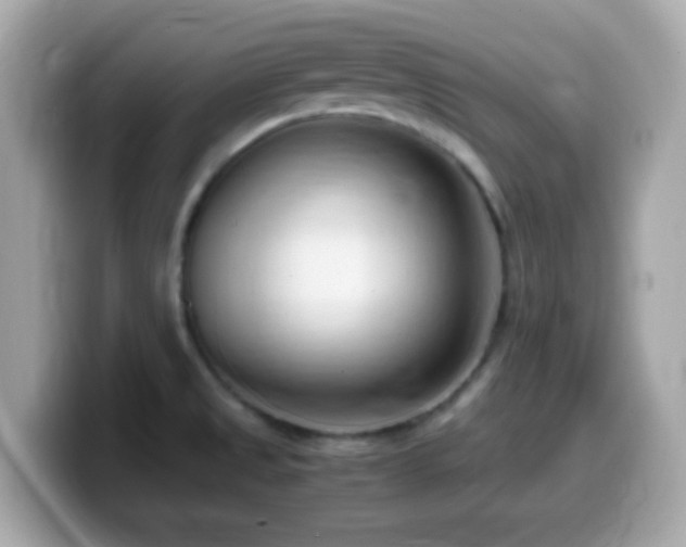X0000099981525200805231415