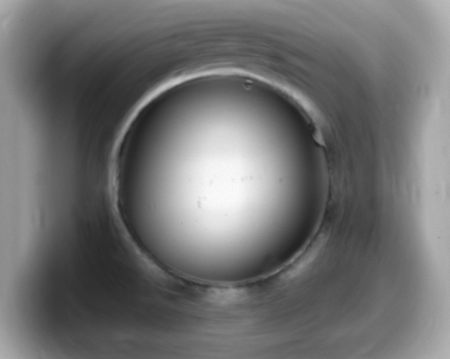 X0000099981526200805231415