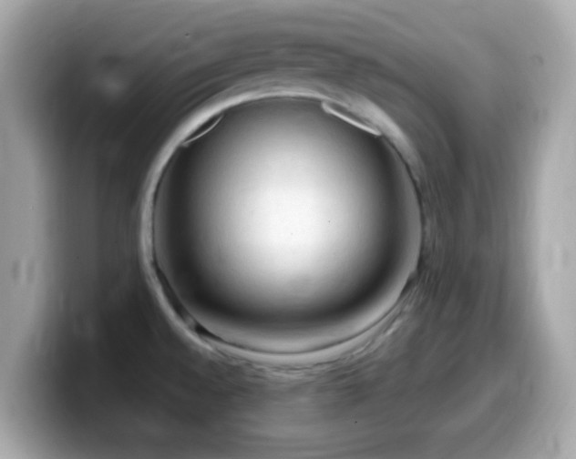 X0000099981528200805231415
