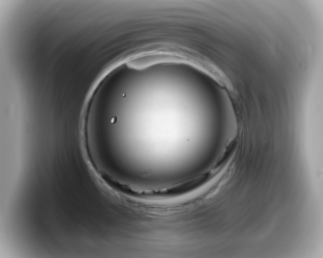X0000099981530200805231415