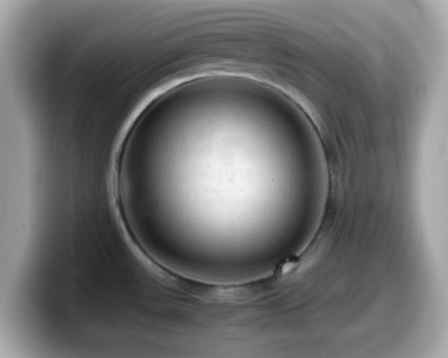 X0000099981531200805231415