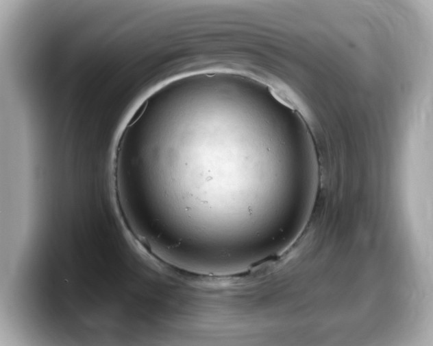 X0000099981532200805231415