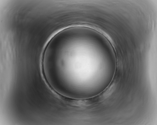X0000099981533200805231415