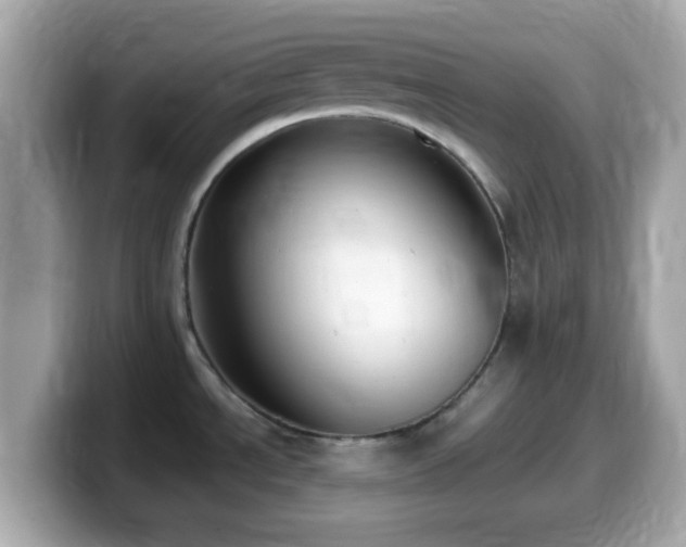 X0000099981534200805231415