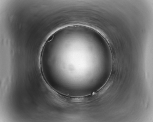 X0000099981535200805231415
