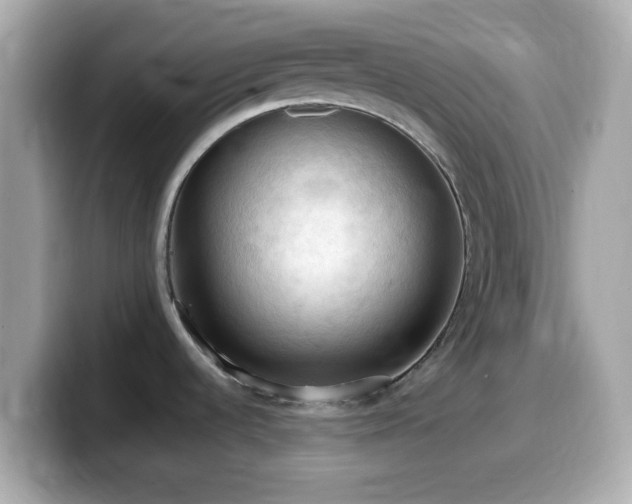 X0000099981536200805231415