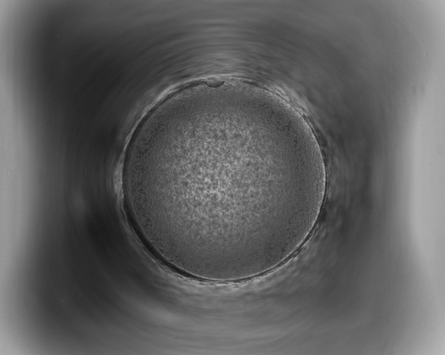 X0000099980002200805301402