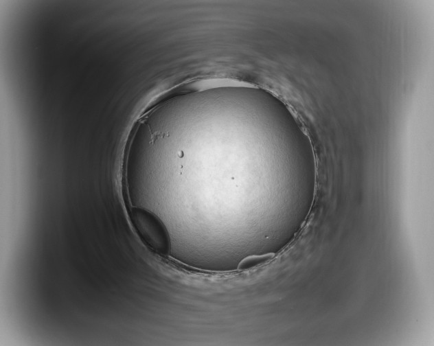 X0000099980003200805301402