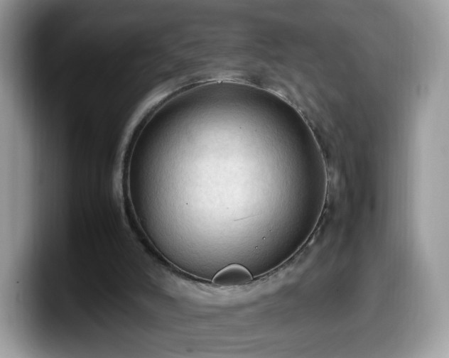 X0000099980006200805301402