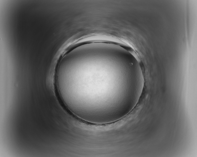 X0000099980007200805301402