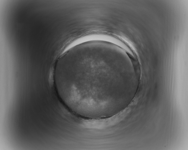 X0000099980009200805301402