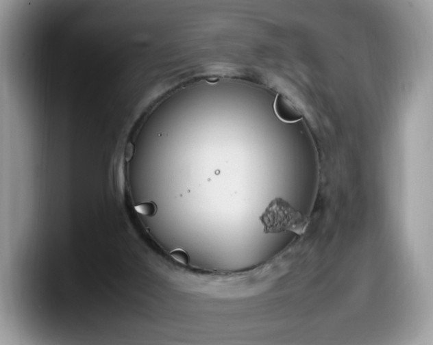 X0000099980011200805301402