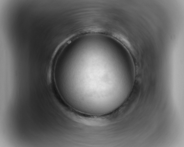 X0000099980012200805301402